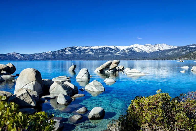 Psychology in Nevada: Learn About Becoming a Psychologist in NV