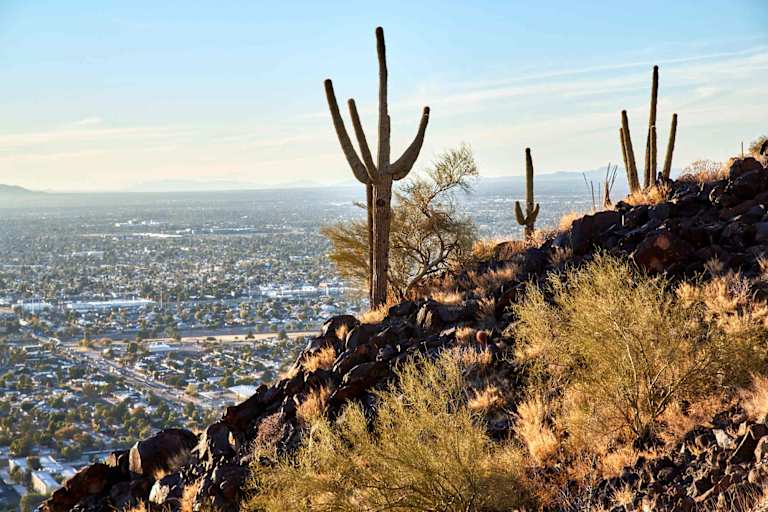 Psychology in Arizona: Learn About Becoming a Psychologist in AZ